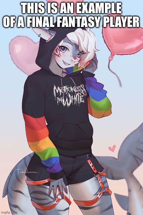 Femboy furry | THIS IS AN EXAMPLE OF A FINAL FANTASY PLAYER | image tagged in femboy furry | made w/ Imgflip meme maker