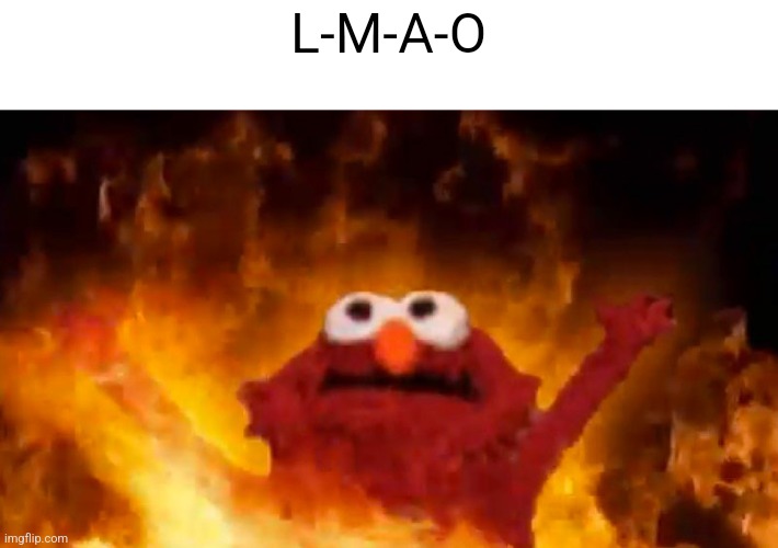 evil elmo | L-M-A-O | image tagged in evil elmo | made w/ Imgflip meme maker
