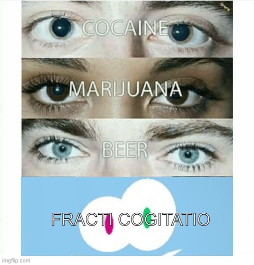 fracti funhouse memes lol | FRACTI COGITATIO | image tagged in cocaine beer marijuana | made w/ Imgflip meme maker