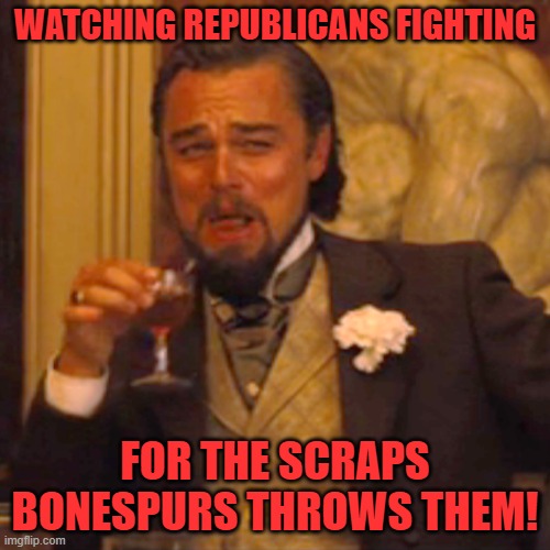 republican Lap Dogs | WATCHING REPUBLICANS FIGHTING; FOR THE SCRAPS BONESPURS THROWS THEM! | image tagged in memes,laughing leo | made w/ Imgflip meme maker