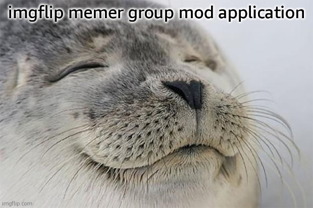 Satisfied Seal | imgflip memer group mod application | image tagged in memes,satisfied seal | made w/ Imgflip meme maker