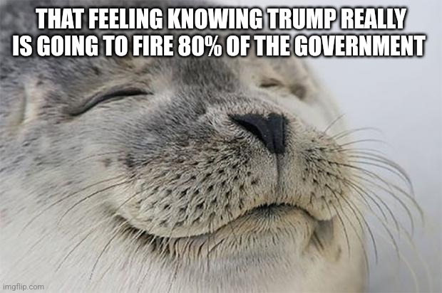 Satisfied Seal | THAT FEELING KNOWING TRUMP REALLY IS GOING TO FIRE 80% OF THE GOVERNMENT | image tagged in memes,satisfied seal,funny memes | made w/ Imgflip meme maker