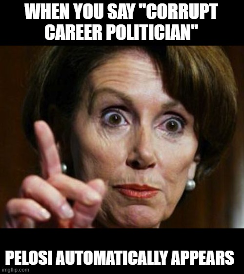 Nancy Pelosi No Spending Problem | WHEN YOU SAY "CORRUPT CAREER POLITICIAN" PELOSI AUTOMATICALLY APPEARS | image tagged in nancy pelosi no spending problem | made w/ Imgflip meme maker