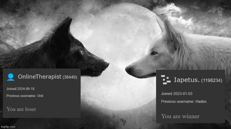 The dichotomy of Imgflip | image tagged in you have two wolves | made w/ Imgflip meme maker