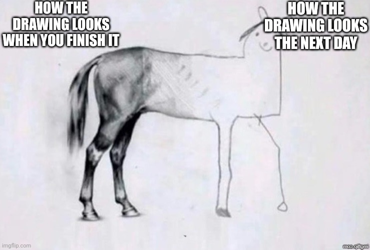 Only artists will understand | HOW THE DRAWING LOOKS WHEN YOU FINISH IT; HOW THE DRAWING LOOKS THE NEXT DAY | image tagged in horse drawing | made w/ Imgflip meme maker