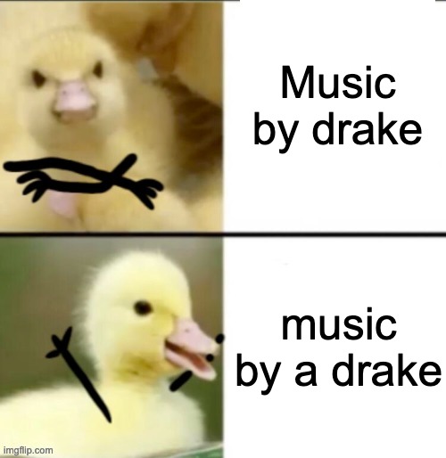 Drake Duck | Music by drake; music by a drake | image tagged in drake duck,lol,drake is a duck | made w/ Imgflip meme maker