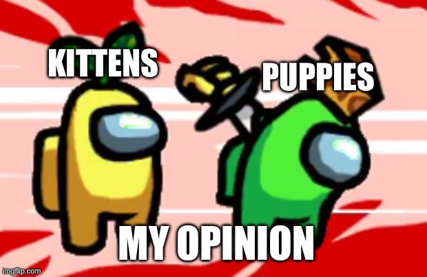 Kittens vs. puppies | PUPPIES; KITTENS; MY OPINION | image tagged in among us stab | made w/ Imgflip meme maker