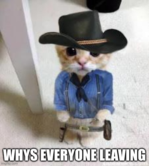 like Ik the site sucks now but | WHYS EVERYONE LEAVING | image tagged in kitten arthur morgan | made w/ Imgflip meme maker