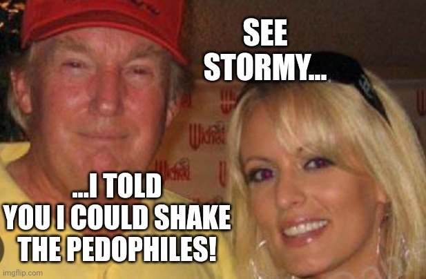 Side chick | SEE STORMY... ...I TOLD YOU I COULD SHAKE THE PEDOPHILES! | image tagged in side chick | made w/ Imgflip meme maker