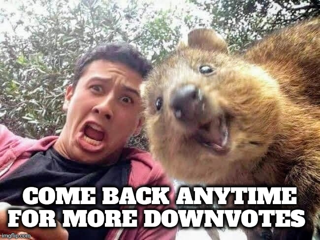 Quokka and Stan | COME BACK ANYTIME FOR MORE DOWNVOTES | image tagged in quokka and stan | made w/ Imgflip meme maker