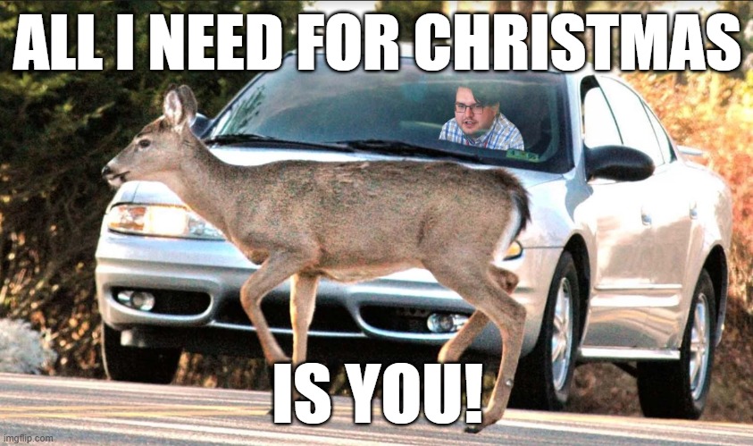 What happens to Reindeer when Christmas songs are played before Thanksgiving | ALL I NEED FOR CHRISTMAS; IS YOU! | image tagged in deer car hunter | made w/ Imgflip meme maker