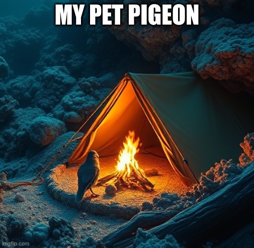 pigeon pet | MY PET PIGEON | image tagged in pigeon camping underwater,bird | made w/ Imgflip meme maker