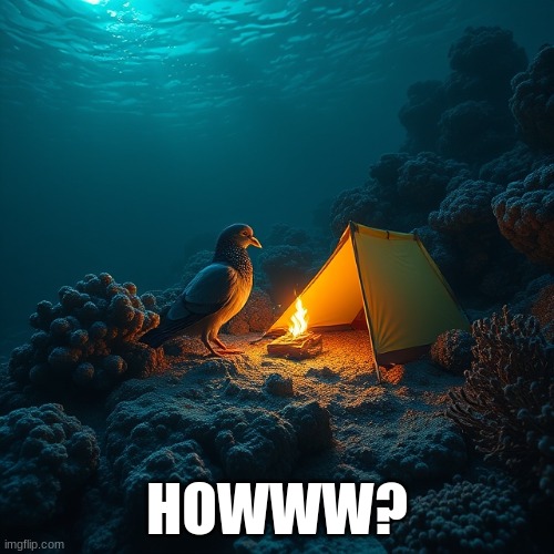 HOWWW? | image tagged in pigeon | made w/ Imgflip meme maker