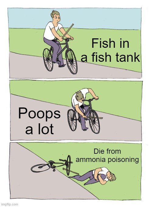 Ammonia | Fish in a fish tank; Poops a lot; Die from ammonia poisoning | image tagged in memes,bike fall | made w/ Imgflip meme maker