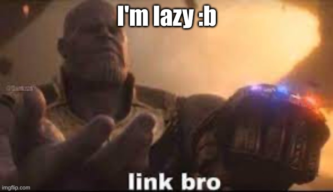 link bro | I'm lazy :b | image tagged in link bro | made w/ Imgflip meme maker