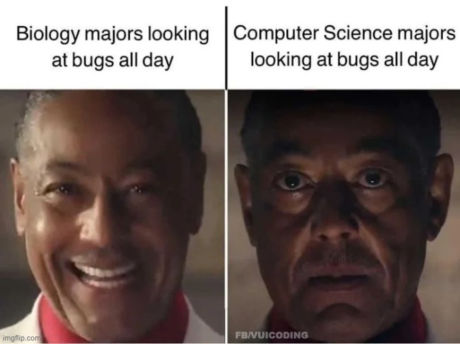 Biology and Dev when looking for Bugs | FB/VUICODING | image tagged in funny memes | made w/ Imgflip meme maker