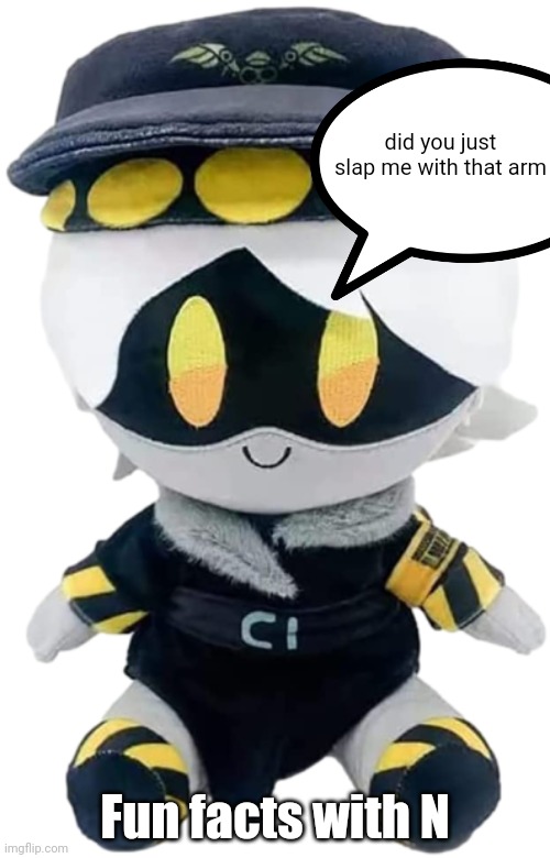 N Plushie | did you just slap me with that arm; Fun facts with N | image tagged in n plushie | made w/ Imgflip meme maker