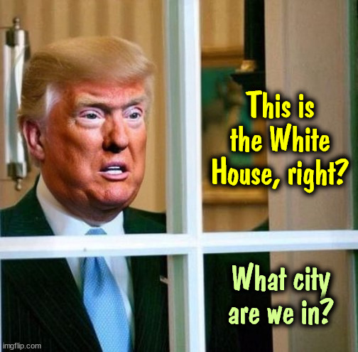 This is the White House, right? What city are we in? | image tagged in trump,old,white house,washington dc,senile dementia | made w/ Imgflip meme maker
