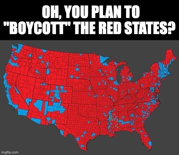 Crying, sniveling, childred always want to take their toys and go home. | OH, YOU PLAN TO "BOYCOTT" THE RED STATES? | image tagged in 2024 election by county,stupid democrats | made w/ Imgflip meme maker