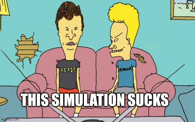 Beavis and Butthead | THIS SIMULATION SUCKS | image tagged in beavis and butthead | made w/ Imgflip meme maker