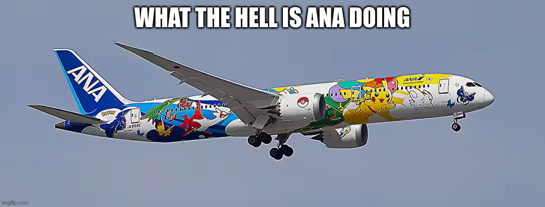 plane | WHAT THE HELL IS ANA DOING | image tagged in plane | made w/ Imgflip meme maker