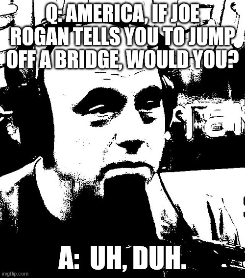 Would you? | Q: AMERICA, IF JOE ROGAN TELLS YOU TO JUMP OFF A BRIDGE, WOULD YOU? A:  UH, DUH. | image tagged in rogan | made w/ Imgflip meme maker