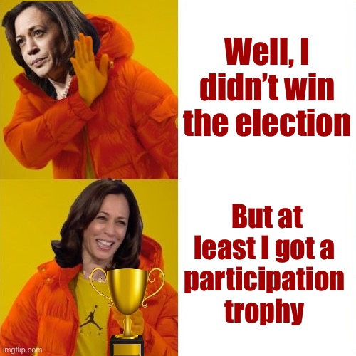 Liberal fringe benefits | Well, I didn’t win the election; But at least I got a
participation
trophy | image tagged in kamala harris hotline bling,liberal,participation trophy | made w/ Imgflip meme maker