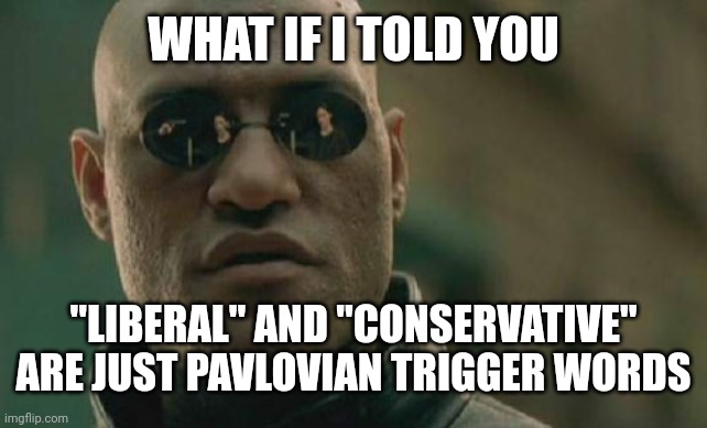 Matrix Morpheus Meme | WHAT IF I TOLD YOU "LIBERAL" AND "CONSERVATIVE" ARE JUST PAVLOVIAN TRIGGER WORDS | image tagged in memes,matrix morpheus | made w/ Imgflip meme maker