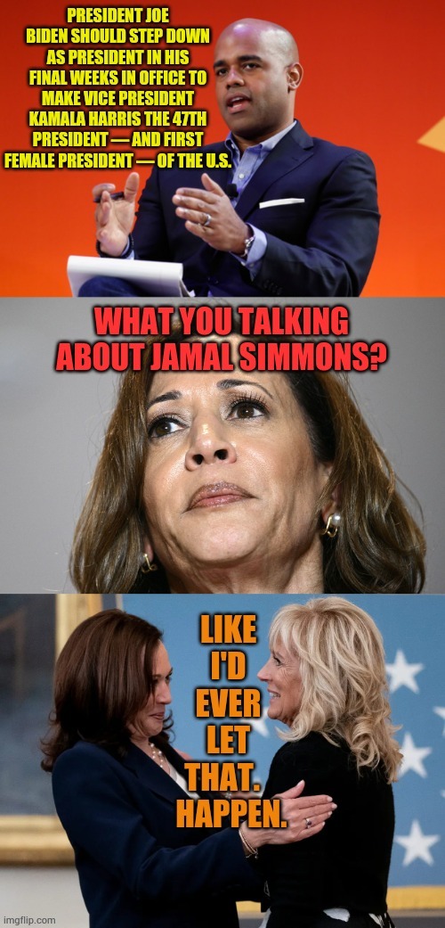 Another Crazy Idea...Who Thinks This Is The Way It Went Down? | image tagged in memes,vice president,president of the united states,crazy idea,jill biden,never | made w/ Imgflip meme maker