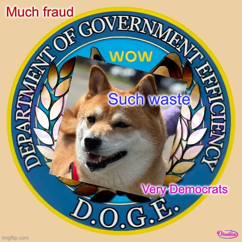 D.O.G.E. | Much fraud; Such waste; Very Democrats | image tagged in i kill chickens,doge,buff doge,department of government efficiency,government corruption | made w/ Imgflip meme maker