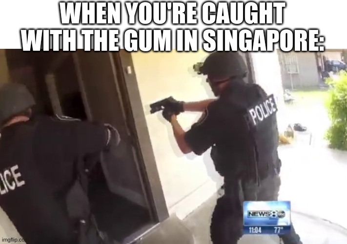 country slander #2 | WHEN YOU'RE CAUGHT WITH THE GUM IN SINGAPORE: | image tagged in fbi open up | made w/ Imgflip meme maker