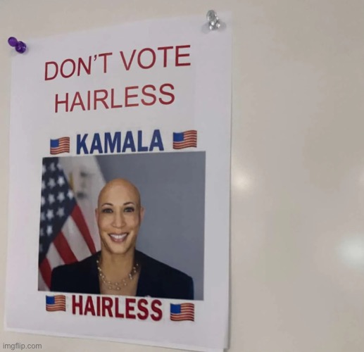 Hairless | image tagged in kamala harris,donald trump | made w/ Imgflip meme maker