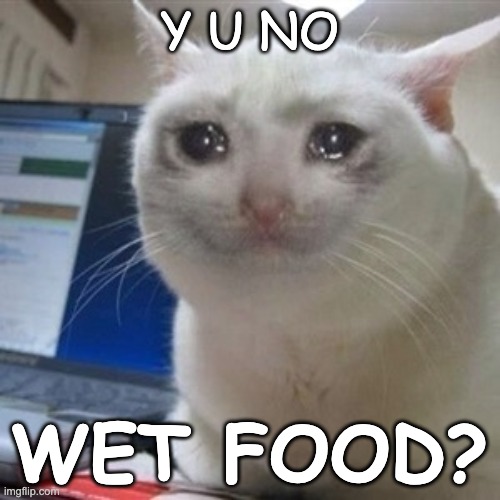 Crying cat | Y U NO WET FOOD? | image tagged in crying cat | made w/ Imgflip meme maker