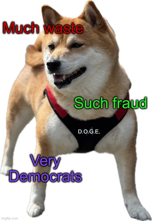 Agency Mascot | Much waste; Such fraud; D.O.G.E. Very Democrats | image tagged in doge,government corruption,buff doge vs cheems | made w/ Imgflip meme maker