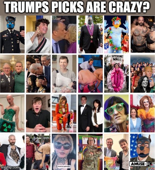 TRUMPS PICKS ARE CRAZY? | image tagged in funny memes | made w/ Imgflip meme maker