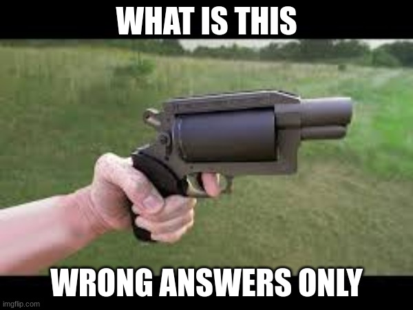 WHAT IS THIS; WRONG ANSWERS ONLY | image tagged in e | made w/ Imgflip meme maker