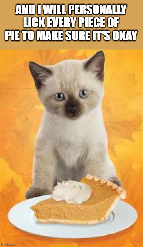 memes by Brad - Kitten will lick each piece of pie to make sure it's okay. | AND I WILL PERSONALLY LICK EVERY PIECE OF PIE TO MAKE SURE IT'S OKAY | image tagged in cats,funny,kittens,thanksgiving,thanksgiving dinner,humor | made w/ Imgflip meme maker