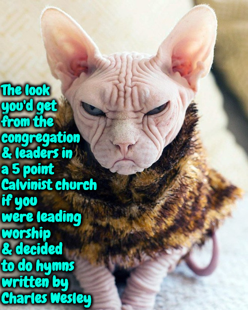 The Look You'd Get | The look you'd get from the congregation & leaders in a 5 point Calvinist church; if you were leading worship & decided to do hymns written by Charles Wesley | image tagged in calvinism,arminian,molinism,reformed theology,the look you'd get,wesleyan | made w/ Imgflip meme maker