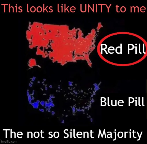 Unity | This looks like UNITY to me; Red Pill; Blue Pill; The not so Silent Majority | image tagged in donald trump,america,we the people,red pill blue pill,maga,winning | made w/ Imgflip meme maker