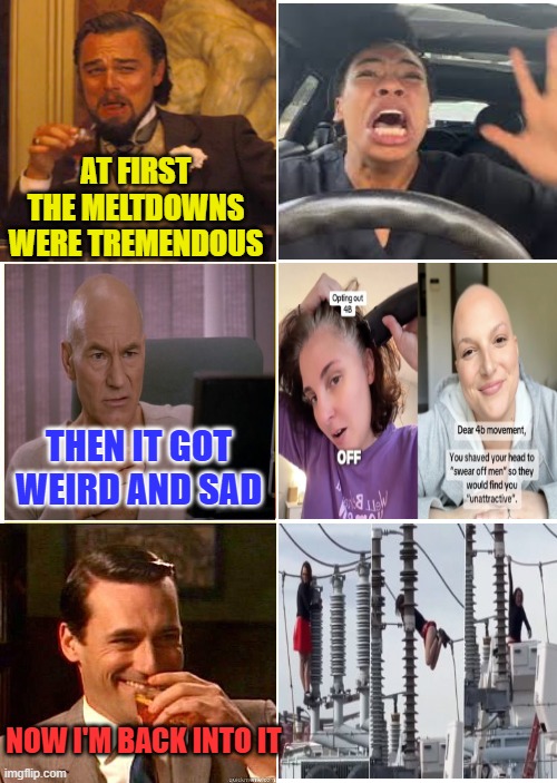 Peaks and Valleys | AT FIRST THE MELTDOWNS WERE TREMENDOUS; THEN IT GOT WEIRD AND SAD; NOW I'M BACK INTO IT | image tagged in meltdown | made w/ Imgflip meme maker