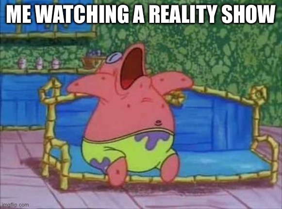 Me watching a reality show | ME WATCHING A REALITY SHOW | image tagged in patrick sleeping 1 panel | made w/ Imgflip meme maker