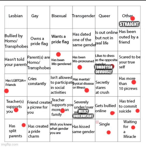 I'm a straight female yet I did this goofy ahh boofy ahh jaloofy ahh bingo | STRAIGHT; TOMBOYISH OBVIOUSLY; MILDLY UNDERWEIGHT | image tagged in lgbtqia bingo | made w/ Imgflip meme maker