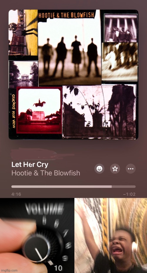 Hootie Cry | image tagged in hootie,blowfish,crying,turn up the volume | made w/ Imgflip meme maker