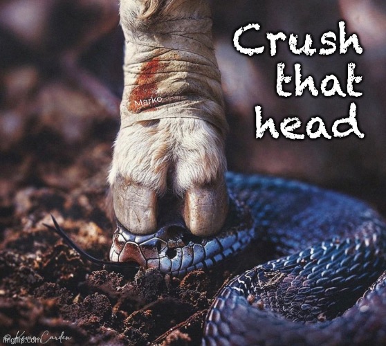 Slither, no more | Crush
that
head; Marko | image tagged in memes,snake getting head squashed,i hate harming animals,but this is a metaphor for squashing evil,fkh voters gotohell | made w/ Imgflip meme maker