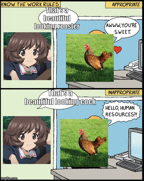 That's a beautiful looking rooster; That's a beautiful looking cock | made w/ Imgflip meme maker