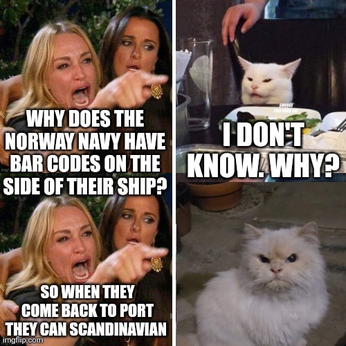 I DON'T KNOW. WHY? WHY DOES THE NORWAY NAVY HAVE BAR CODES ON THE SIDE OF THEIR SHIP? SO WHEN THEY COME BACK TO PORT THEY CAN SCANDINAVIAN | image tagged in smudge that darn cat with karen | made w/ Imgflip meme maker