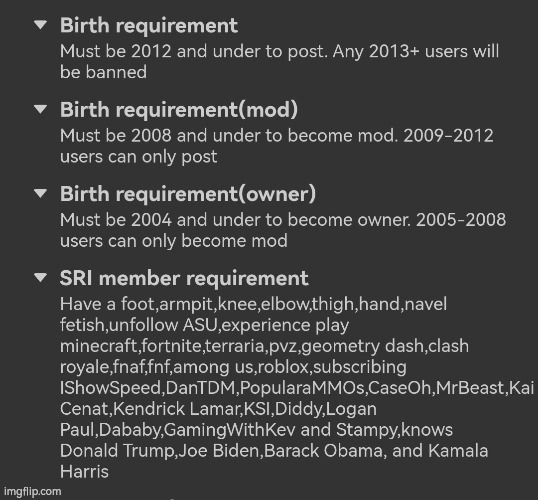 Sigma Rizzlers Requirements | image tagged in sigma rizzlers requirements | made w/ Imgflip meme maker