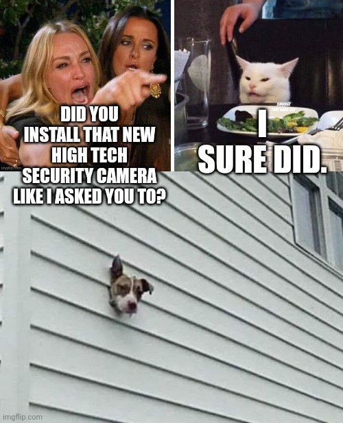 I SURE DID. DID YOU INSTALL THAT NEW HIGH TECH SECURITY CAMERA LIKE I ASKED YOU TO? | image tagged in smudge that darn cat with karen | made w/ Imgflip meme maker