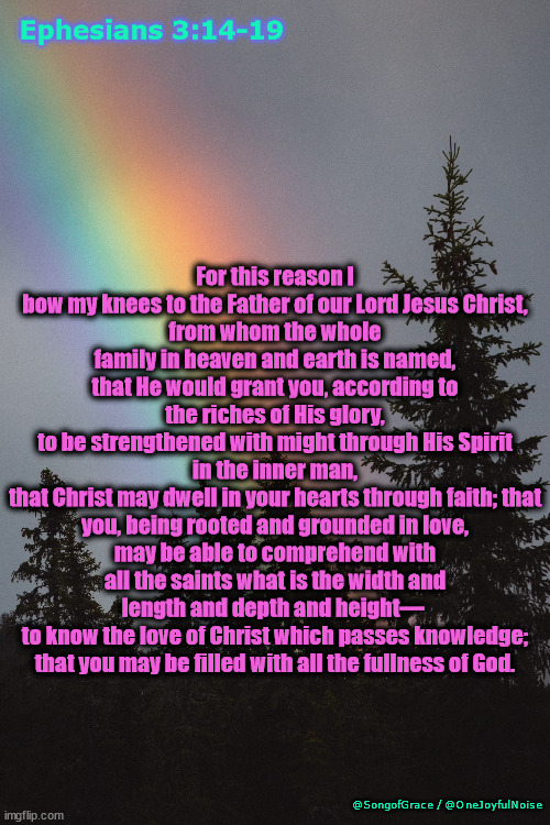 Ephesians 3:14-19 | Ephesians 3:14-19; For this reason I bow my knees to the Father of our Lord Jesus Christ,
from whom the whole family in heaven and earth is named,
that He would grant you, according to the riches of His glory,
to be strengthened with might through His Spirit in the inner man,
that Christ may dwell in your hearts through faith; that you, being rooted and grounded in love,
may be able to comprehend with all the saints what is the width and length and depth and height— 
to know the love of Christ which passes knowledge; that you may be filled with all the fullness of God. @SongofGrace / @OneJoyfulNoise | image tagged in biblical encouragement | made w/ Imgflip meme maker