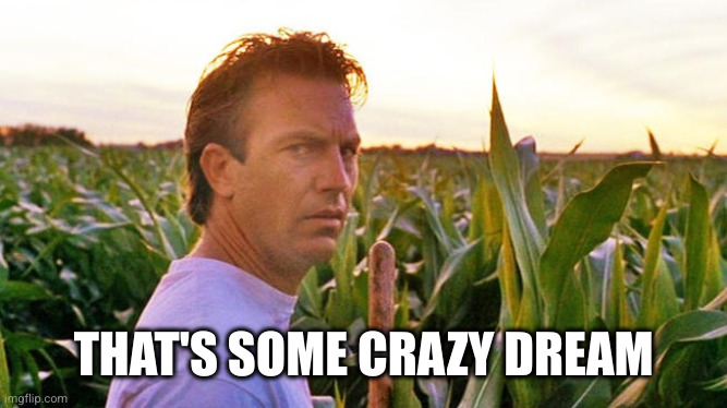 field of dreams | THAT'S SOME CRAZY DREAM | image tagged in field of dreams | made w/ Imgflip meme maker